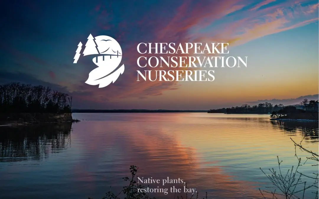 Chesapeake Conservation