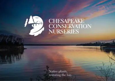 Chesapeake Conservation