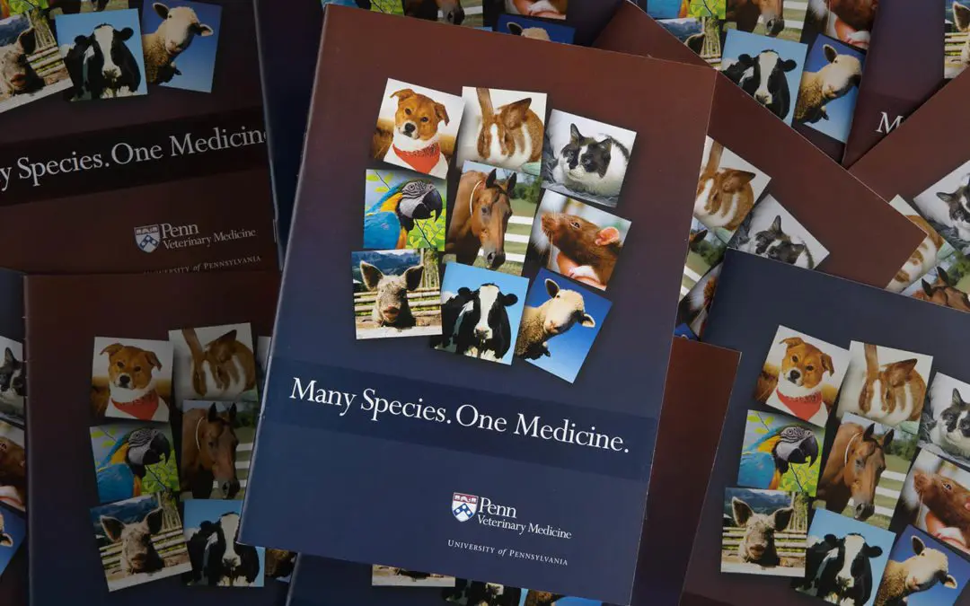 Penn Vet