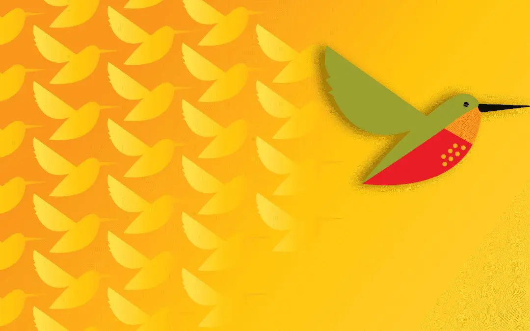 Branding: The Art of Difference